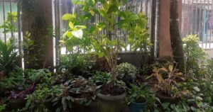 IMG-20230204-WA0042