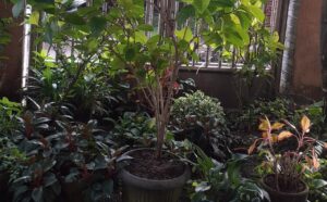 IMG-20230304-WA0056