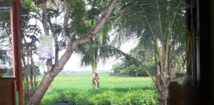 IMG-20230317-WA0010