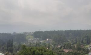 IMG-20240518-WA0004