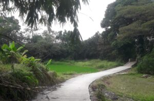 IMG-20240726-WA0026