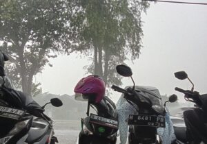 IMG-20250911-WA0437(1)